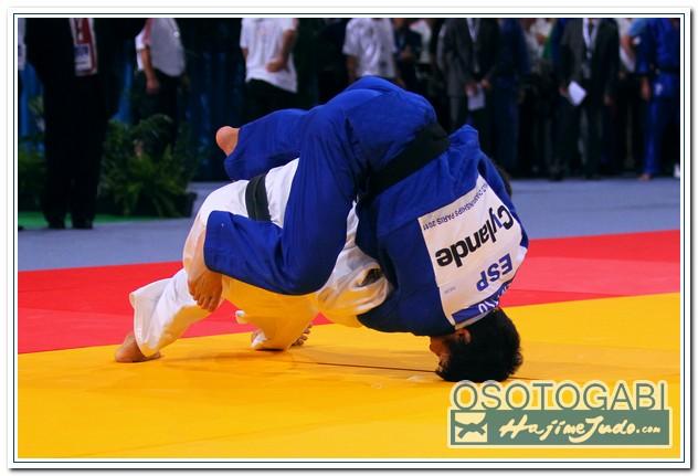 WCPARIS2011 90108